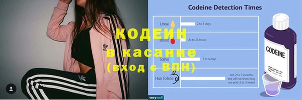 ПСИЛОЦИБИНОВЫЕ ГРИБЫ Бородино