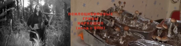 эйфоретик Бронницы