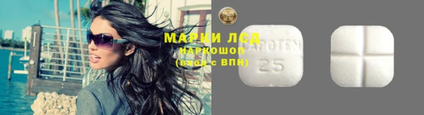 ПСИЛОЦИБИНОВЫЕ ГРИБЫ Бородино