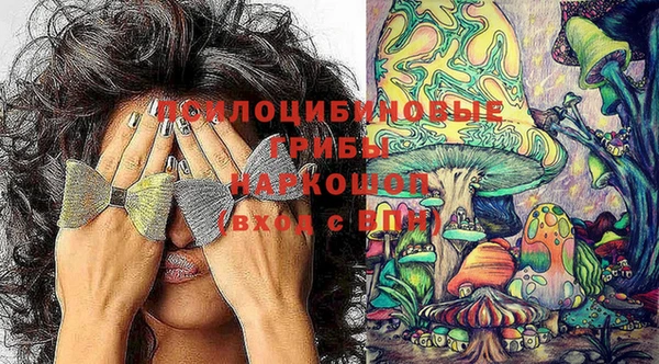 эйфоретик Бронницы