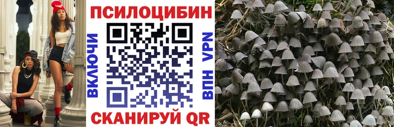 Галлюциногенные грибы GOLDEN TEACHER  что такое   Венёв 