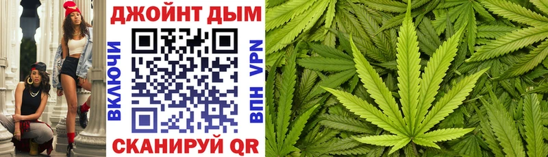 Канабис план  купить наркотики цена  Венёв 